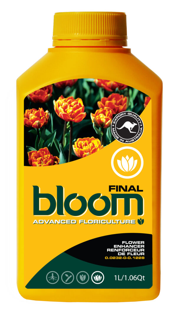 Bloom Final